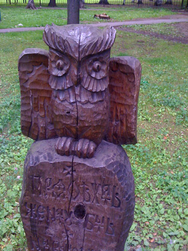 Сова в трансе